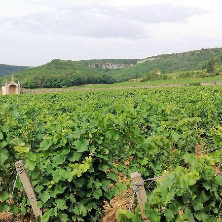 Gite Hautes Cotes De Nuits Curtil-Vergy Buitenkant foto